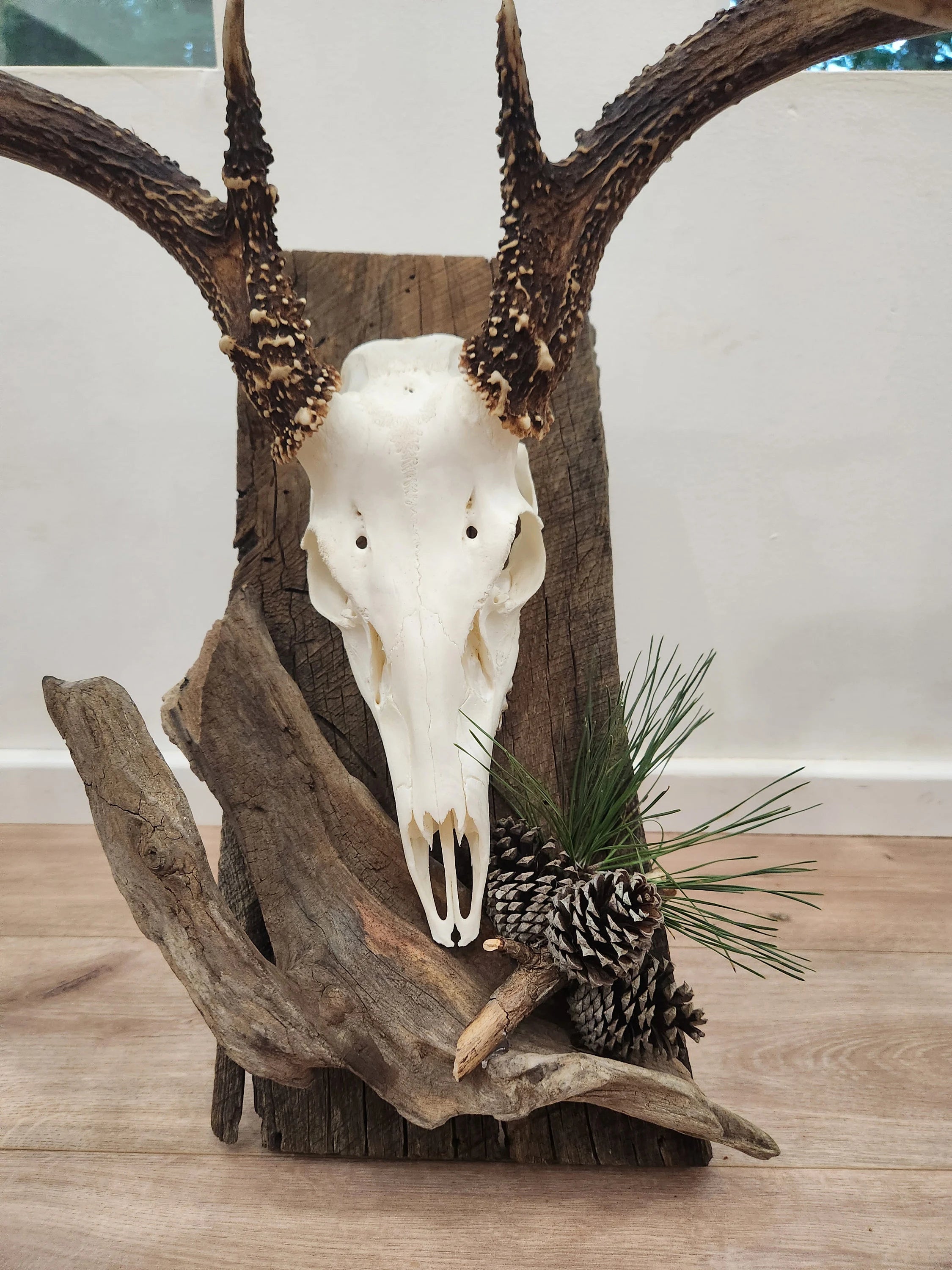 European Style Deer Skull Plaque, Handcrafted - Custom Barn Wood - Well-Built