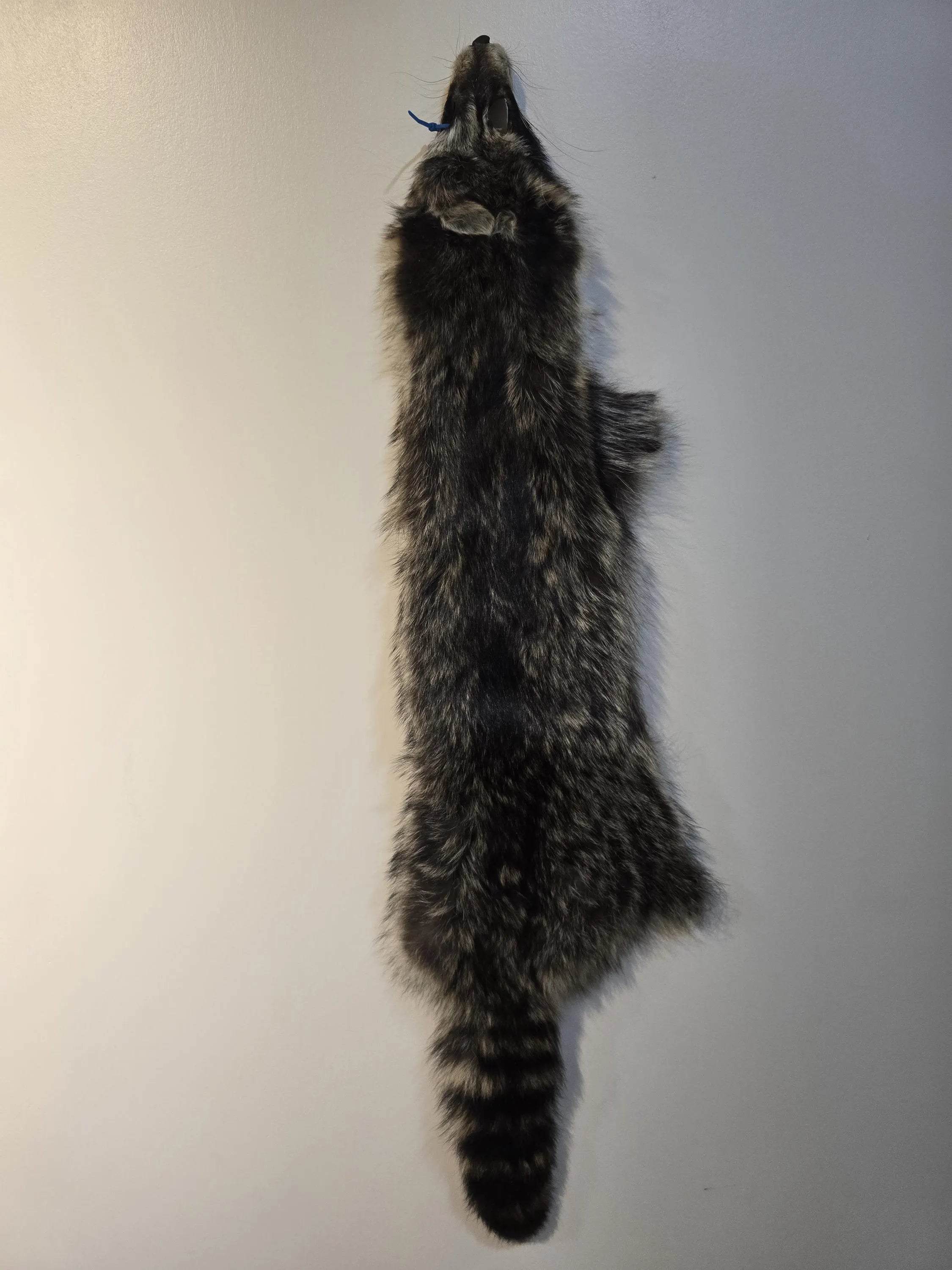 Raccoon Pelt, Raccoon Fur, Soft Tanned, Real Fur