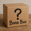 Mystery Bone Box - Beetle Cleaned - Real Bone